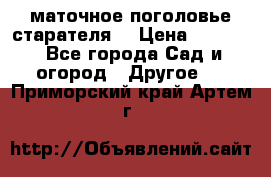 маточное поголовье старателя  › Цена ­ 3 700 - Все города Сад и огород » Другое   . Приморский край,Артем г.